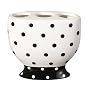 Dots Toothbrush Holder - Black/ White