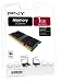 Electronics : PNY RAM for Mac Laptops - 1 GB DDR2 667 MHz SO-DIMM PC5300 (SODI101GBN/5300/2APP)