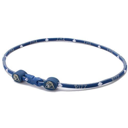 21in Pittsburgh Steelers Titanium Sport Necklace