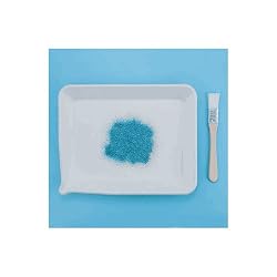 Martha Stewart Crafts Glittering Trays And Brush