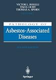 Pathology of Asbestos-Associated Diseases