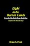 Light in the Barren Lands: Travail of The Dark Mage (Book One)