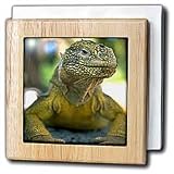 Land Iguana - 6 Inch Tile Napkin Holder