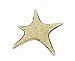 Rising Star Skin Jewel 925 Silver 24kt Gold Plated with Sparkling Finish Size 35x34mm Weight 3,50gr 25 Skin Touch Adhesives Are Included in the Price