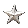 Silver Star "Big Star" Chrome Metal Belt Buckle