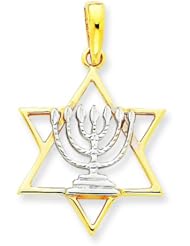 14K Two Tone Gold Menorah Star of David Charm