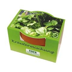 Minipflanzset Kr�utermix