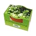 Minipflanzset Kr�utermix