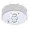 Brennenstuhl Gas-Melder BG 2201/1290470 wei�