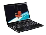 Toshiba Satellite L350-24Q 43,2 cm (17 Zoll) Notebook (Intel Pentium T4300 2.1GHz, 4GB RAM, 320GB HDD, ATI Radeon HD 4650, DVD+- DL RW, Vista Home Premium)