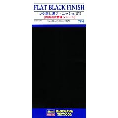 Hasegawa TF4 - Flat Black Finish
