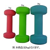 �g�[�^���t�B�b�g�l�X �J���[�A���[2kg STW-062 [�V���e�b�N�X]