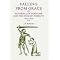Falling From Grace (Reversal of Fortune and the English Nobility 1075 -1455) (Hardcover)