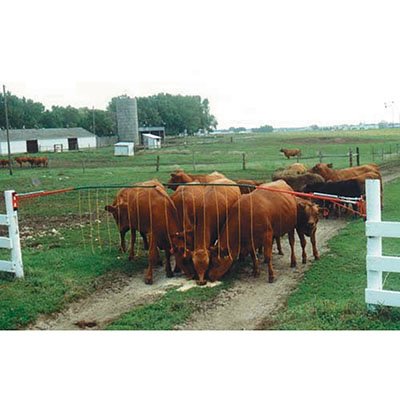 Drive-Thru Electric Gate - 13ft. to 19ft. Drive-Thru Electric Gate - 13ft. to 19ft.