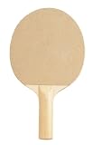 The CSI Sandpaper Table Tennis Paddle