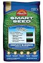 Pennington Seed #118925 3LB Kentucky Blue Seed