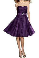 Strapless Knee Length Organza Homecoming Dress/Bridesmaid Dress 