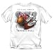 Its all about Basketball