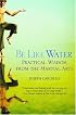 Be Like Water: Practical Wisdom from the Martial Arts