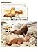 First Day of Issue WWF Juan Fernandez Fur Seal Stamp