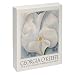 Pomegranate Georgia O'Keeffe Standard Boxed Note Card Set (Pack of 2)