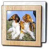 Borzoi - 6 Inch Tile Napkin Holder