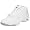 White/Silver