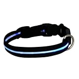 2-TECH LED Hundehalsband in BLAU 2. Generation 50cm 2,5cm breit - Halsumfang von 34 bis 50 cm