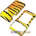 Tiger Print Shield Protector Case for LG Chocolate VX8500 (type V)
