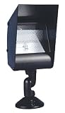 Hooded Black Outdoor Landscape Floodlight