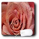 WhiteOak Photography Floral Prints - Macros Antique Rose A Close up of a Rose - Mouse Pads