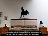 HORSE decal vinyl wall peel and Stick Arabian Stallion Sticker 24 X 28 inches