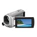 Sony DCR-SX40 Palm-Sized camcorder with 60X Optical Zoom (Silver)
