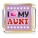 I Heart My Aunt Italian Charms Bracelet Link