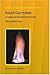 Book Natural Gas Hydrate in Oceanic and Permafrost Environments (Coastal Systems and Continental Margins)