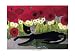 Perche Io by Rosina Wachtmeister Fine Art Print / Poster 31.50 x 23.50 in. Image