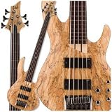 ESP LTD