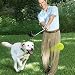 Kitchen & Housewares : Hyper Products Doggie Driver