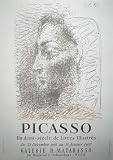 �y�|�X�^�[�z�p�u���@�s�J�\�FPICASSO