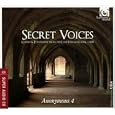 Secret Voices 4