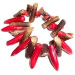 Coral Bracelet 04 Stretch Red Gemstone Brown Wood Fang Teeth Tribal Crystal Healing