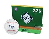 Tampa Bay Rays Tabletop Baseball Game