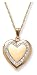 14k Gold Filled Heart Locket, 18