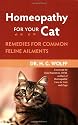 Homeopathy for Your Cat: Remedies for Common Feline Ailments