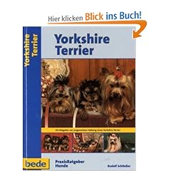 Yorkshire Terrier, Praxisratgeber: Ein Ratgeber zur artgerechten Haltung eines Yorkshire Terriers