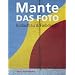 Das Foto: Bildaufbau & Farbdesign