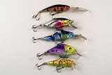 Lot of 5 Crankbait Fishing Lures for Bass Trout A