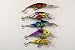 Lot of 5 Crankbait Fishing Lures for Bass Trout A