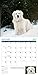 Turner Photo 2017 Golden Retrievers Photo Wall Calendar, 12 x 24 inches Opened (17998940022)