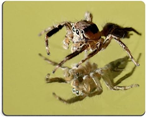 Smoomfly Mouse Pad Natural Rubber Mousepad a jumping spider and Reflection on miror Image ID 21930608
